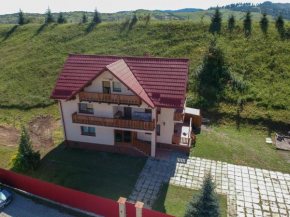 Гостиница Casa Din Gradina Lui Ioan  Тырлунджень